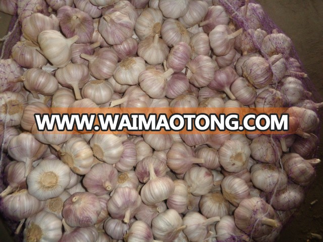 2017 new crop fresh nomal white garlic size 5.0cm