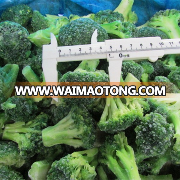 Grade A Frozen Broccoli IQF Broccoli florets 30-50mm