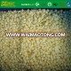 New Crop Frozen IQF Diced Apples Size 15*15 mm