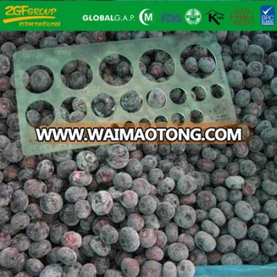 New Crop wild frozen blueberry