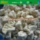 Grade A IQF Frozen White Cauliflower 30-50 mm