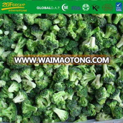 Grade A IQF Frozen Broccoli Florets 30-50 mm