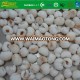 Frozen Fruits IQF Lychee meat