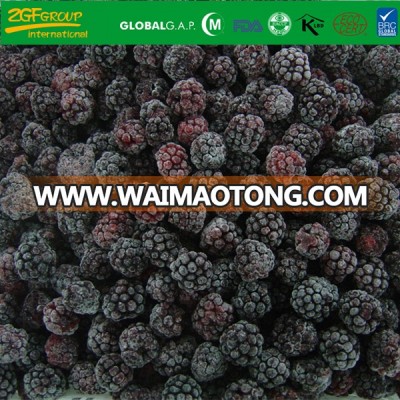 Grade A Frozen Blackberry IQF Fresh Blackberries