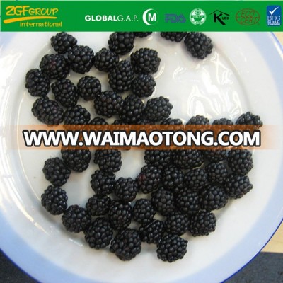New Crop Frozen Cultivated Blackberry IQF Blackberries