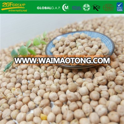 Dried Products Kabuli Chickpeas 8-12mm