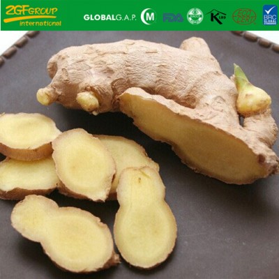 fresh yong ginger
