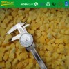 Frozen fruits IQF Diced Mango 10*10mm